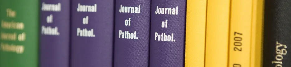 Unsere Publikationen (copyright Pathologie 2010) Unsere Publikationen (copyright Pathologie 2010)