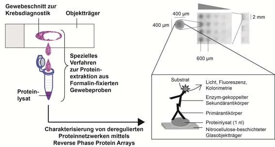 Unser methodischer Ansatz: Liquid Morphology
