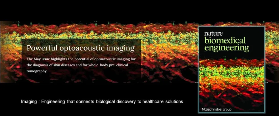 Cover of Nature Biomedical Engineering Cover of Nature Biomedical Engineering