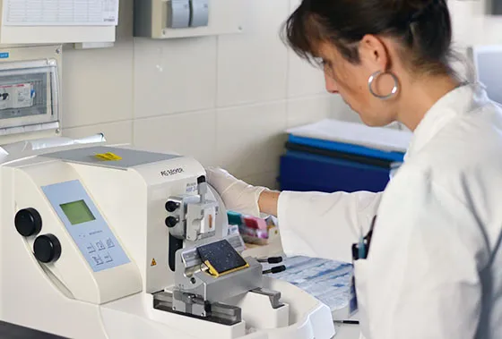Christa beim Schneiden eines Gewebeblocks für die quantitative Proteinextraktion