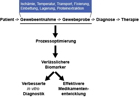 Verbesserung der Gewebeprobenqualität Verbesserung der Gewebeprobenqualität
