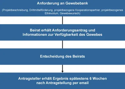 Übersicht Antragstellung.