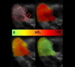 Nature Communications published a new article by Stratis Tzoumas and co-authors