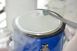 Freezing the sample in liquid nitrogen (Photo: kfbfotografie)