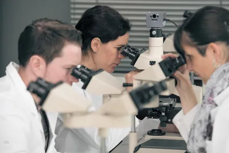 At the microscope (Photo: kfbfotografie)